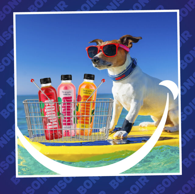 Boni Soir – Post 01 – Bubba